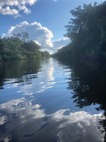 The Amazing, Awe-inspiring Amazon River and Rainforest - BUSINESSWoman ...
